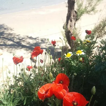 Apartment New Sea Escape Boutique Apt-agii Aposto Li