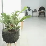 Lejlighed Sea Escape Boutique Apt-near Agii Aposto Li