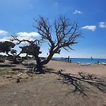 Lejlighed Sea Escape Boutique Apt-near Agii Aposto Li *