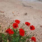 Lejlighed Sea Escape Boutique Apt-near Agii Aposto Li *