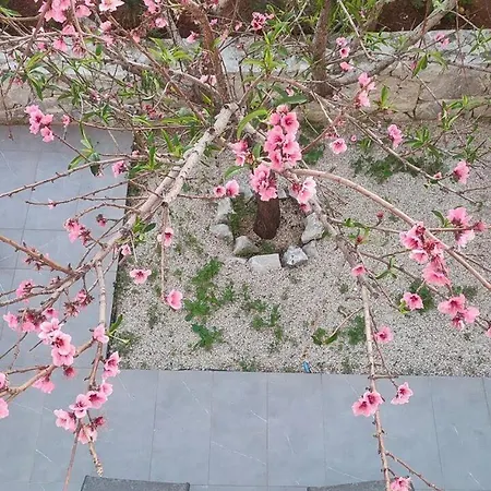 Sea Escape Boutique Apt-near Agii Aposto Li *