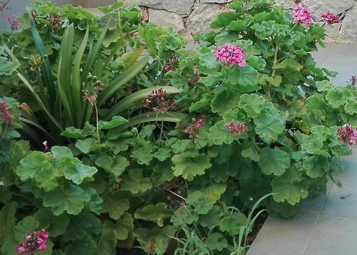 New Sea Escape Boutique Apt-agii Aposto Li Διαμέρισμα Χανιά