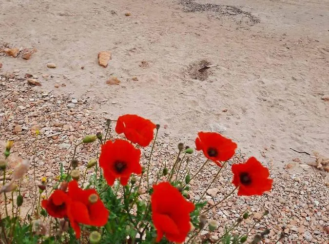 Διαμέρισμα New Sea Escape Boutique Apt-agii Aposto Li *