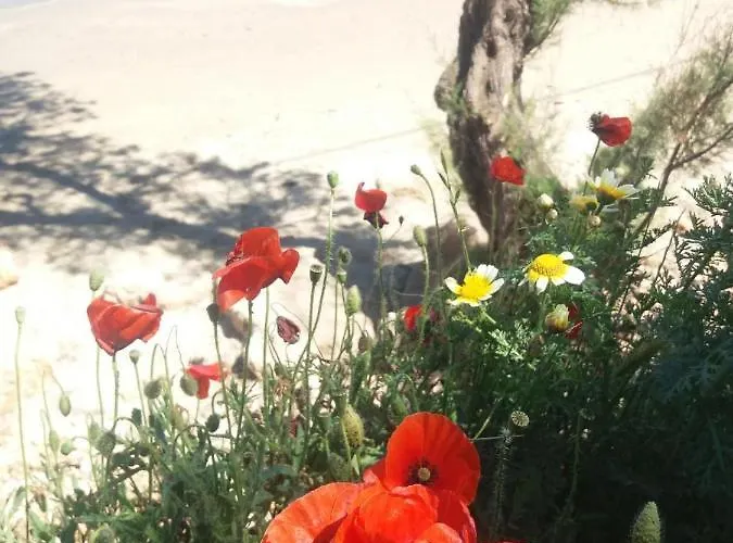 Διαμέρισμα New Sea Escape Boutique Apt-agii Aposto Li