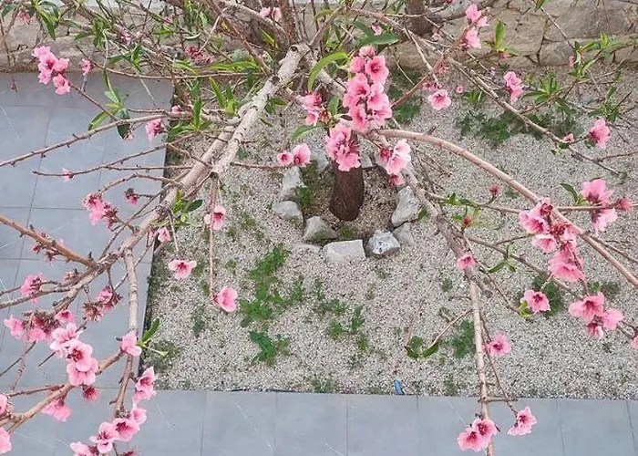 New Sea Escape Boutique Apt-agii Aposto Li *