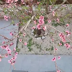 Sea Escape Boutique Apt-near Agii Aposto Li *
