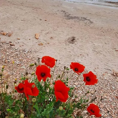 Apartman New Sea Escape Boutique Apt-agii Aposto Li *